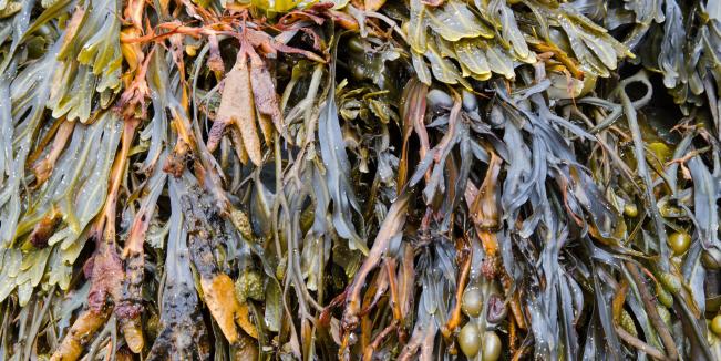 Schulze & Hermsen GmbH